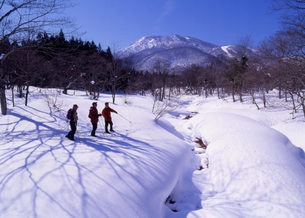 【信州・信濃町癒しの森】風景_冬_冬の森体験1