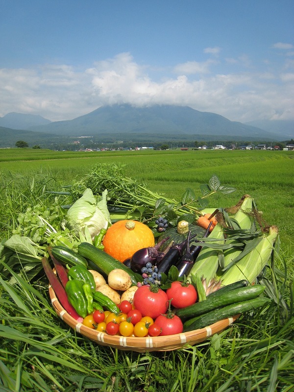 【信州・信濃町癒しの森】名産品_夏野菜セット