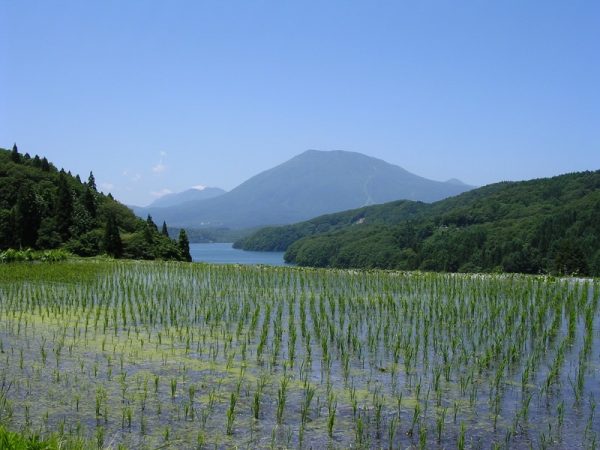 信濃町へ移住をお考えの方への写真